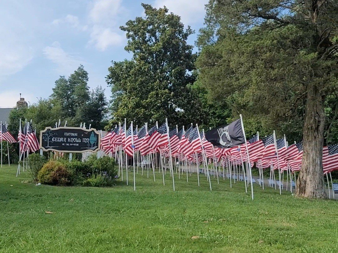 Rows of American flags on the lawn