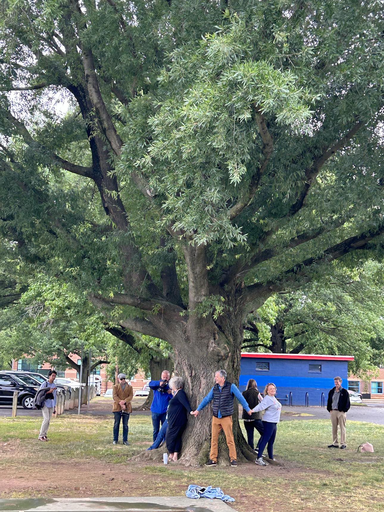 People interlocked around a large tree trunk in protest