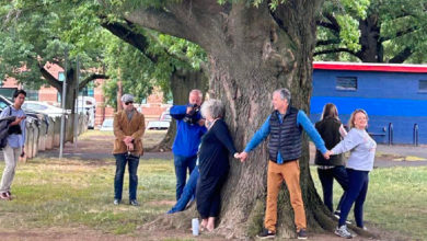 Del Ray citizens gathered to hold arms around one of the live oaks slated for demolition in the Eugene Simpson Stadium Park renovation. (Photo: Rachel Mangas)