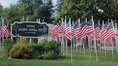 Rows of American flags on a green lawn near sign for Cedar Knoll Restaurant