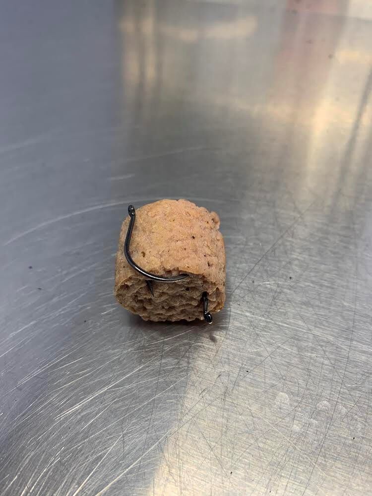 Small piece of sausage with fish hook embedded found in Alexandria, Virginia.