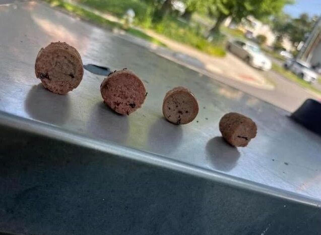 Four dog sausages on metal surface with fish hooks through each. (Photo: Alexandria Animal Welfare League)