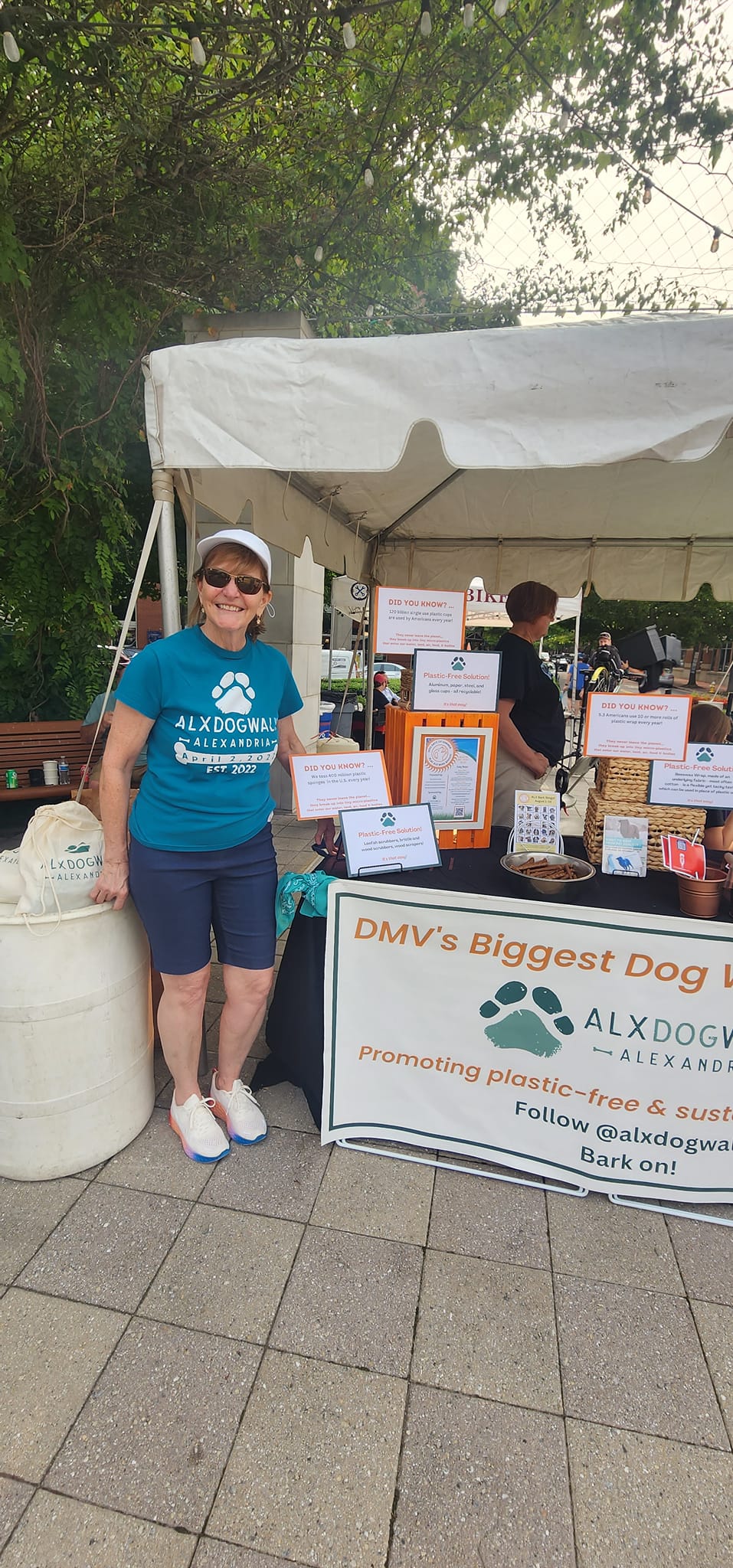 Julie Chapman, Chair, Alx Dogwalk, in Carlyle (Photo Judith Fogel)