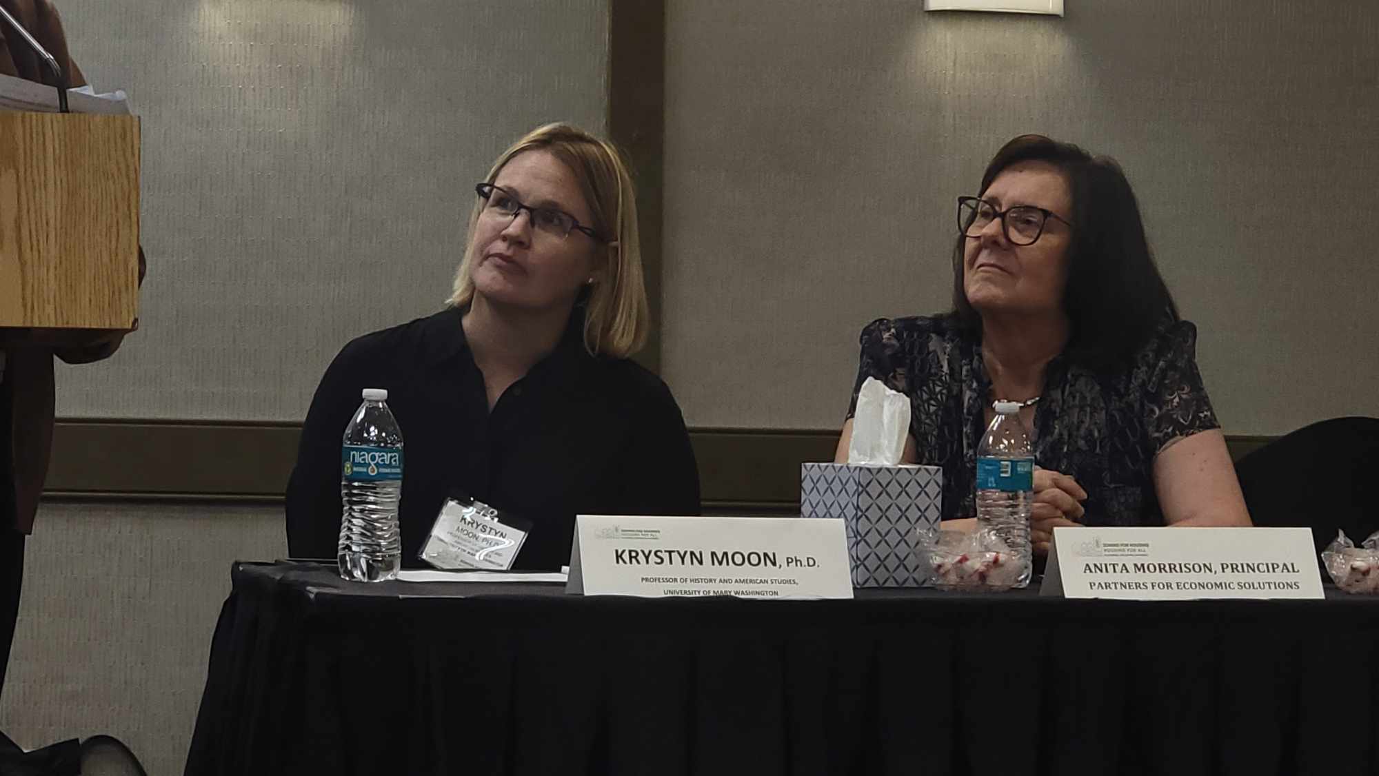 Panelists Krystyn Moon, professor of History and American Studies at University of Mary Washington and Anita Morrison of Partnerships for Economic Solutions (Photo Lucelle O’Flaherty) 