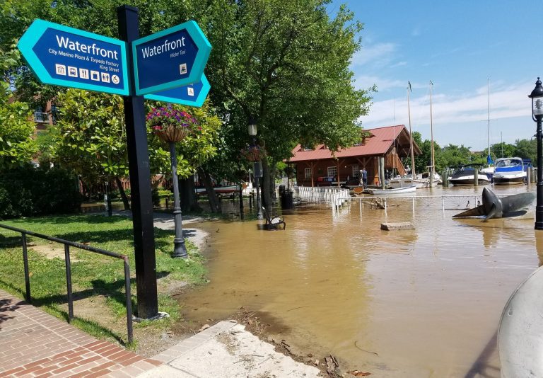 Alexandria flood insurance 