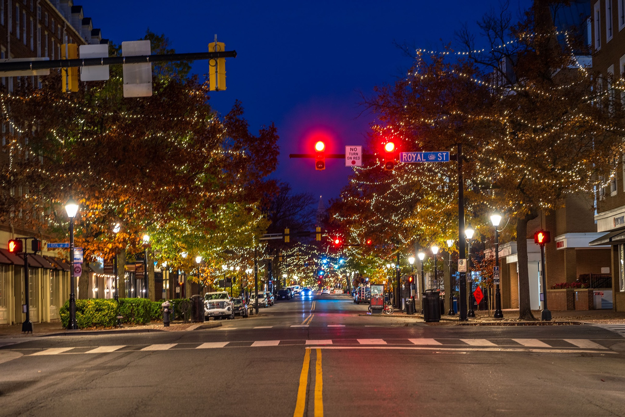 The trees on both sides of the street are hung with white sparkly lights--this is a nighttime photo showing those and the lights of the cars on KIng Street facing up toward the Masonic Memorial.