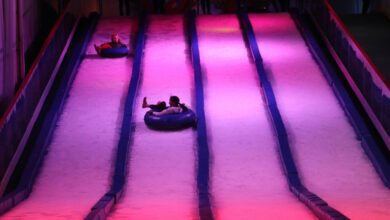 kids sliding down an ice slide