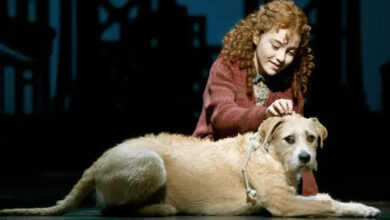 Red-headed actress with blond dog on stage.