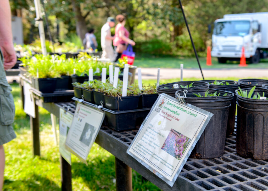 Various photos showing the SPring Garden Market at River Farm