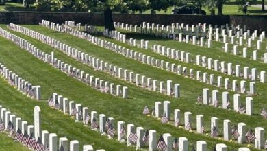 Rows of white military headstones with little flags