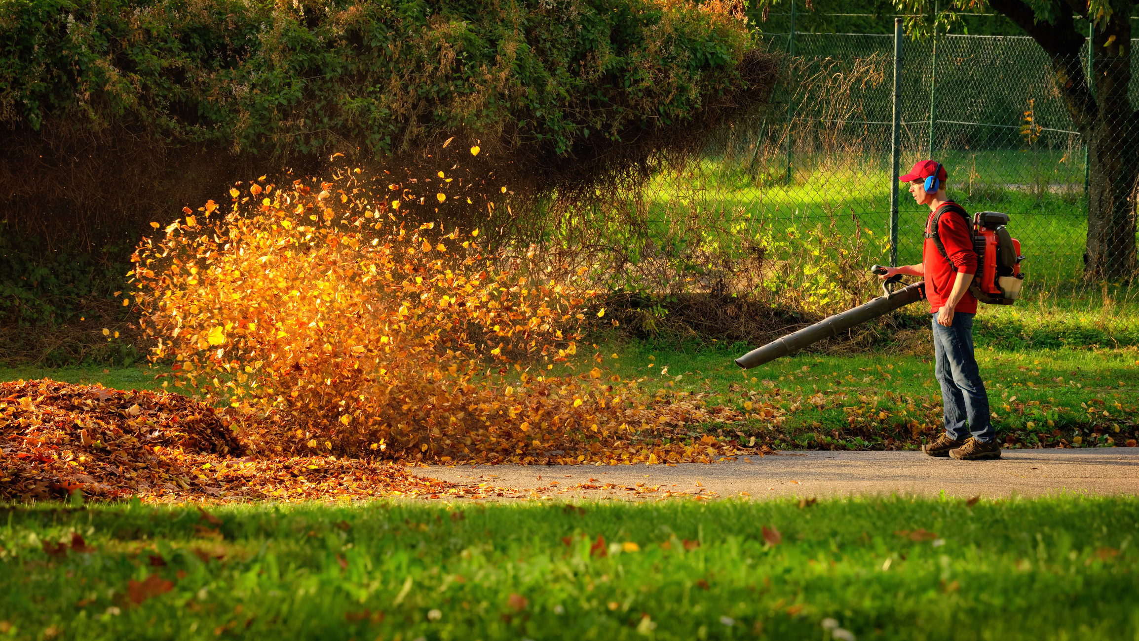 Heavy duty leaf blower in action Heavy duty leaf blower in action