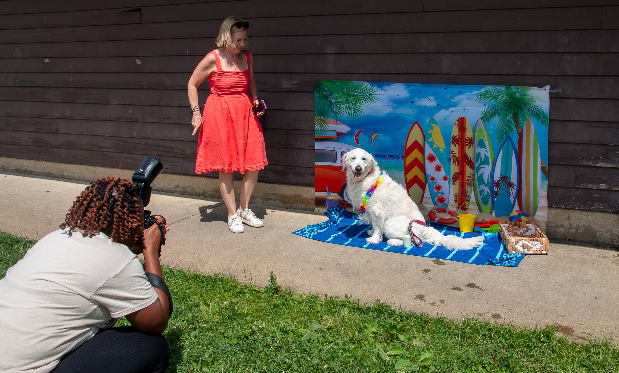 PDDT white dog posing PDDT white dog posing