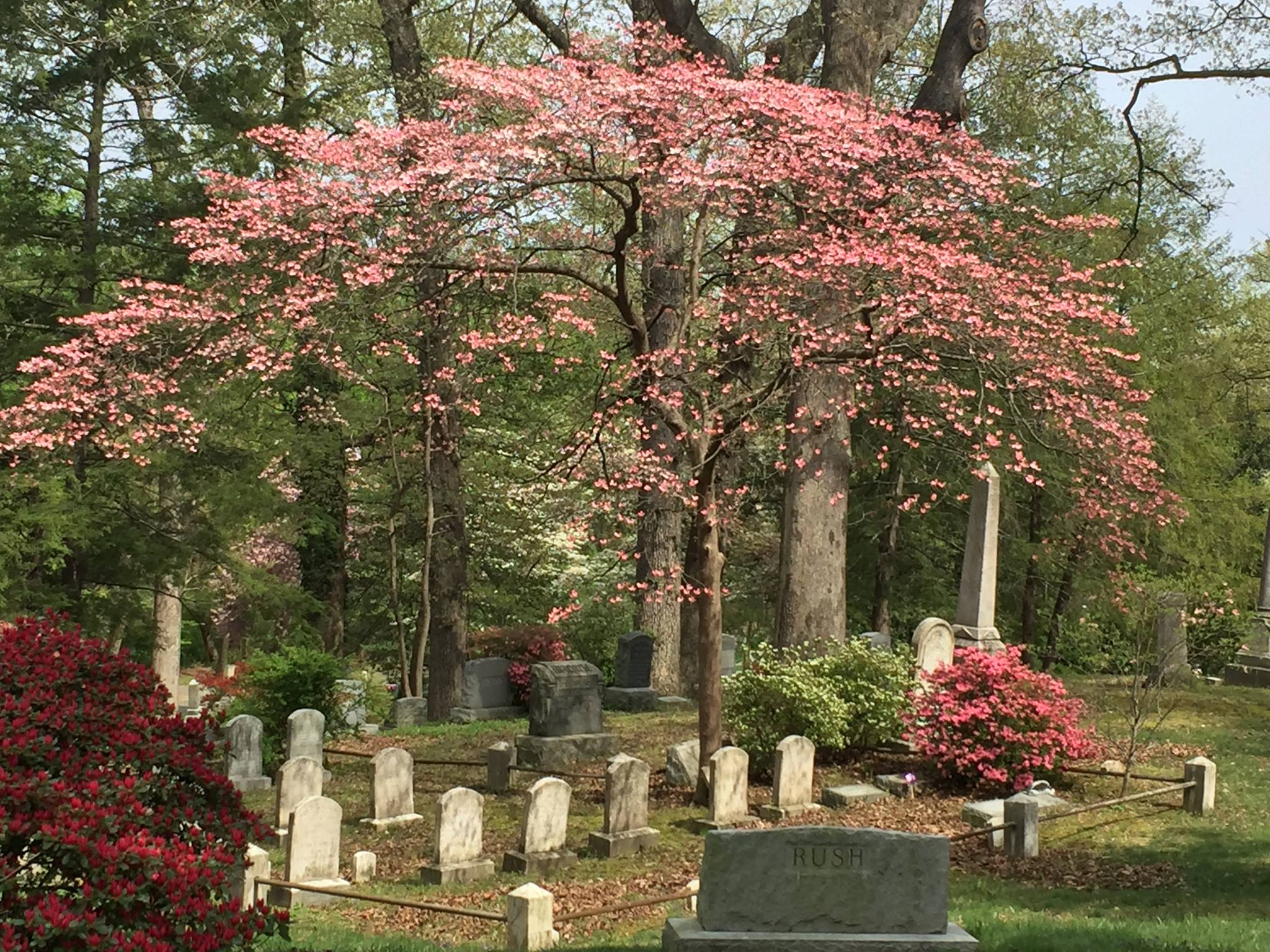 Ivy Hill Cemetery Ivy Hill Cemetery