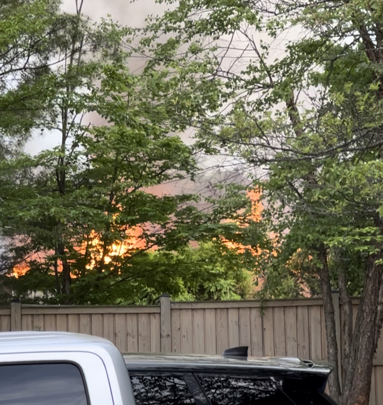 pic 5 fire seen beyond trees