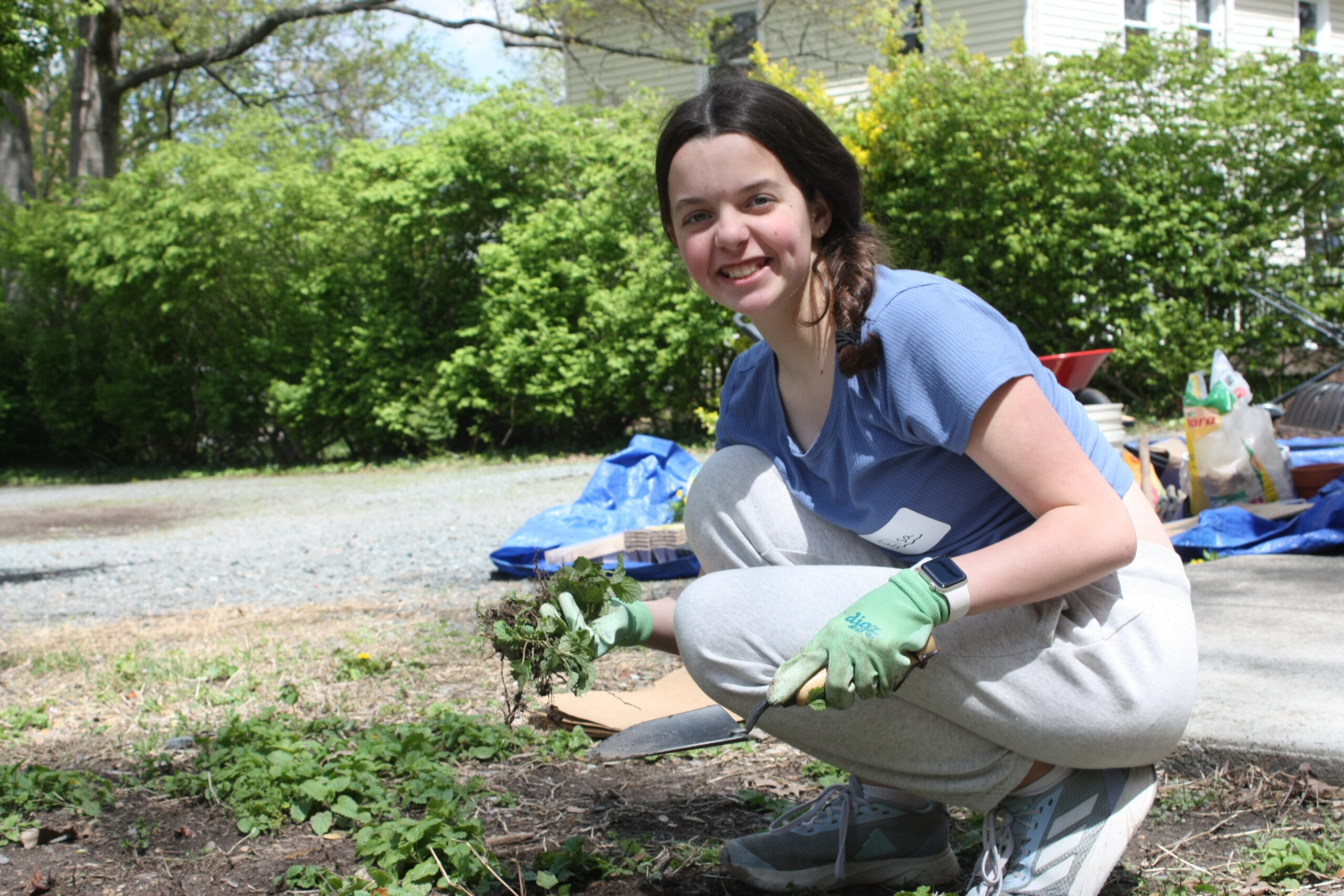young volunteer young volunteer