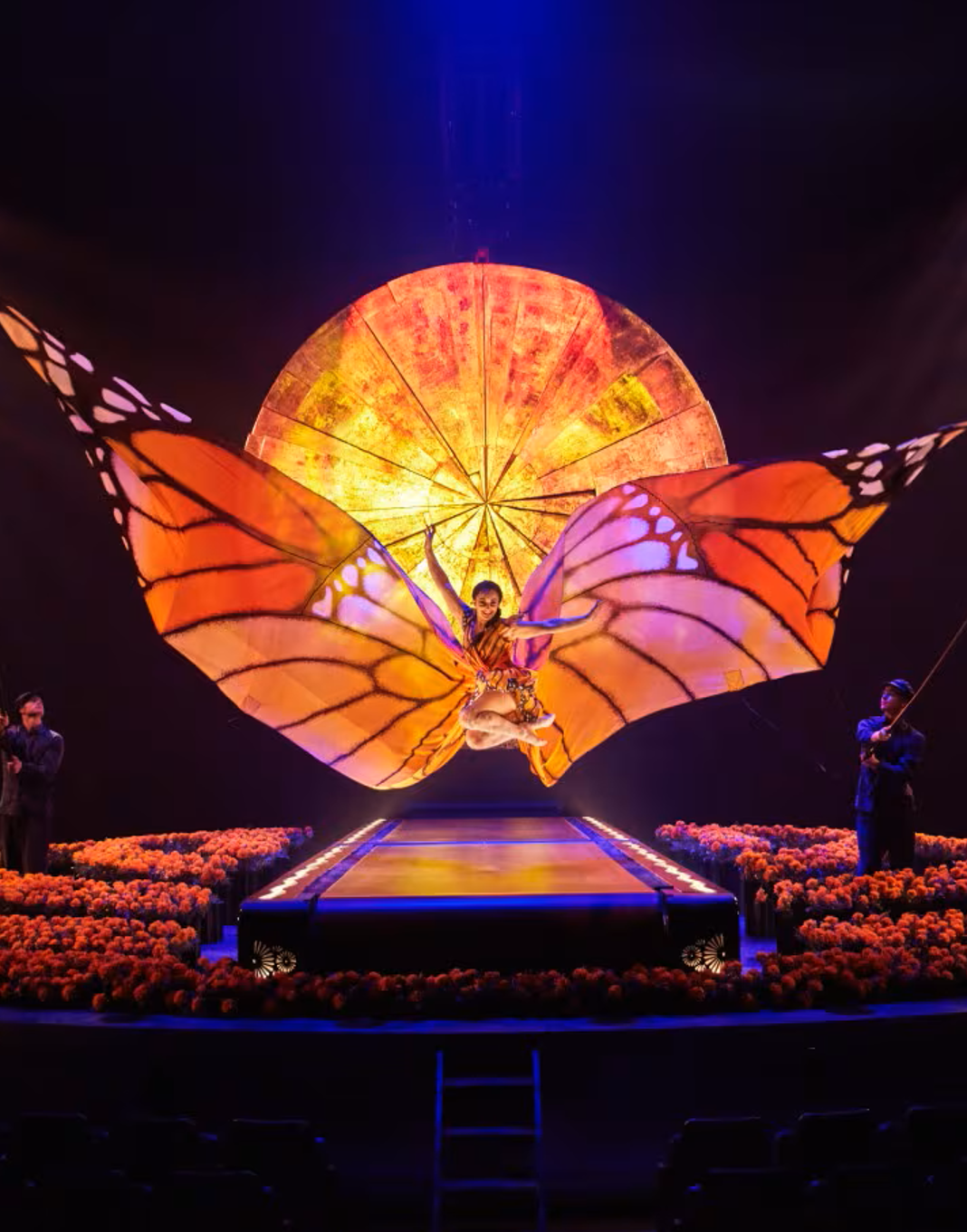 Luzia Cirque du Soleil