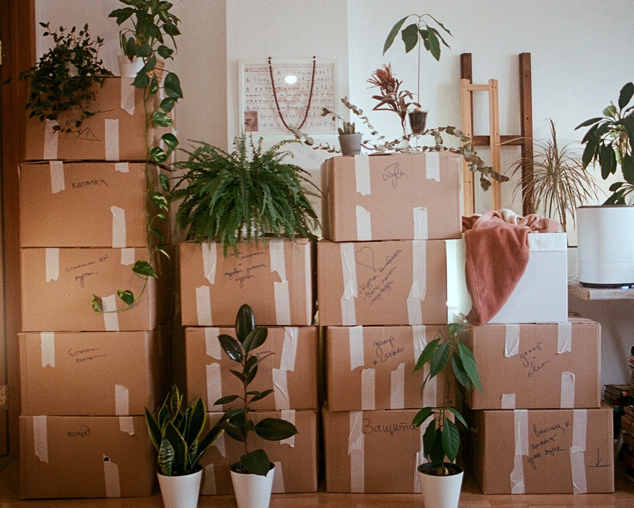 MovingBoxesFinal Mountain of packed moving boxes. Photo by Dina Badamshina on Unsplash