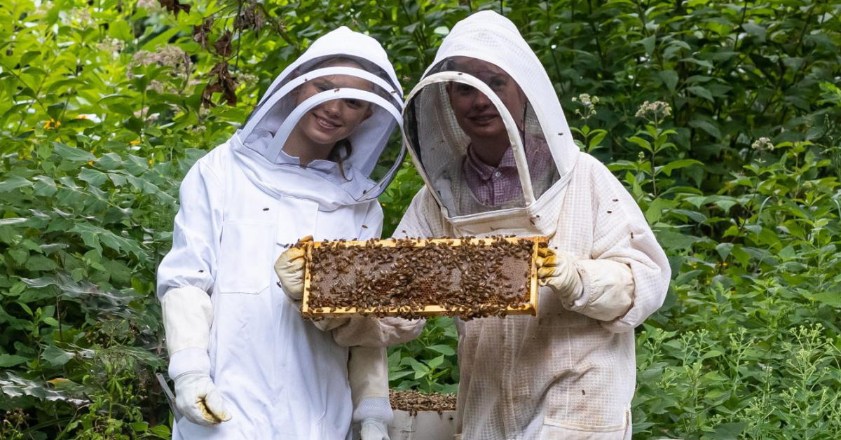 bee conservation Alexandria Virginia