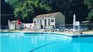 Pine Tree Pool