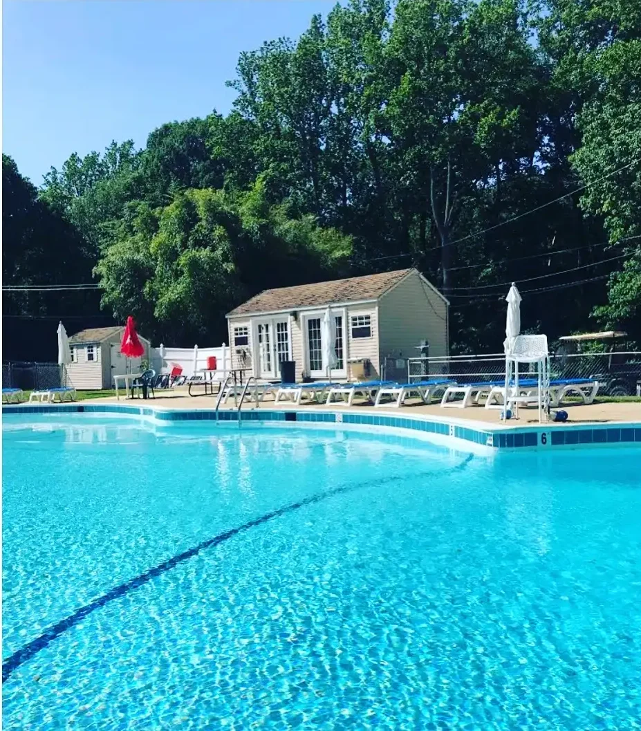Pine Tree Pool Pine Tree Pool