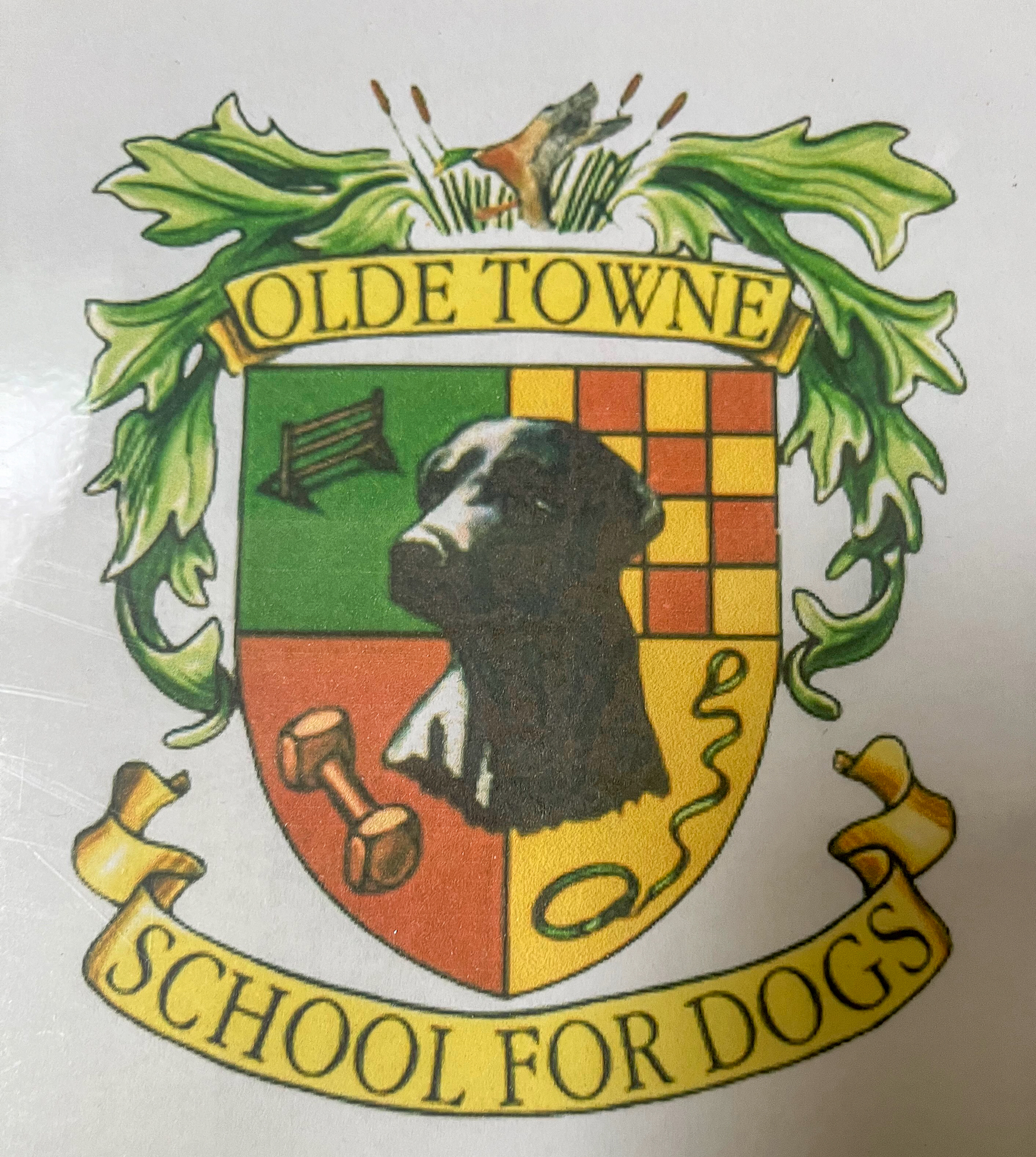 otsfd crest