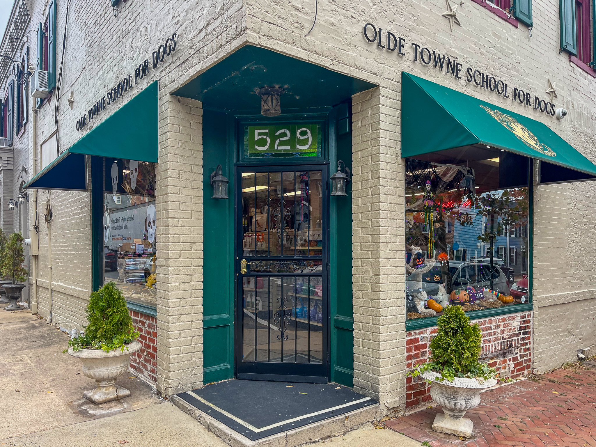 store windows