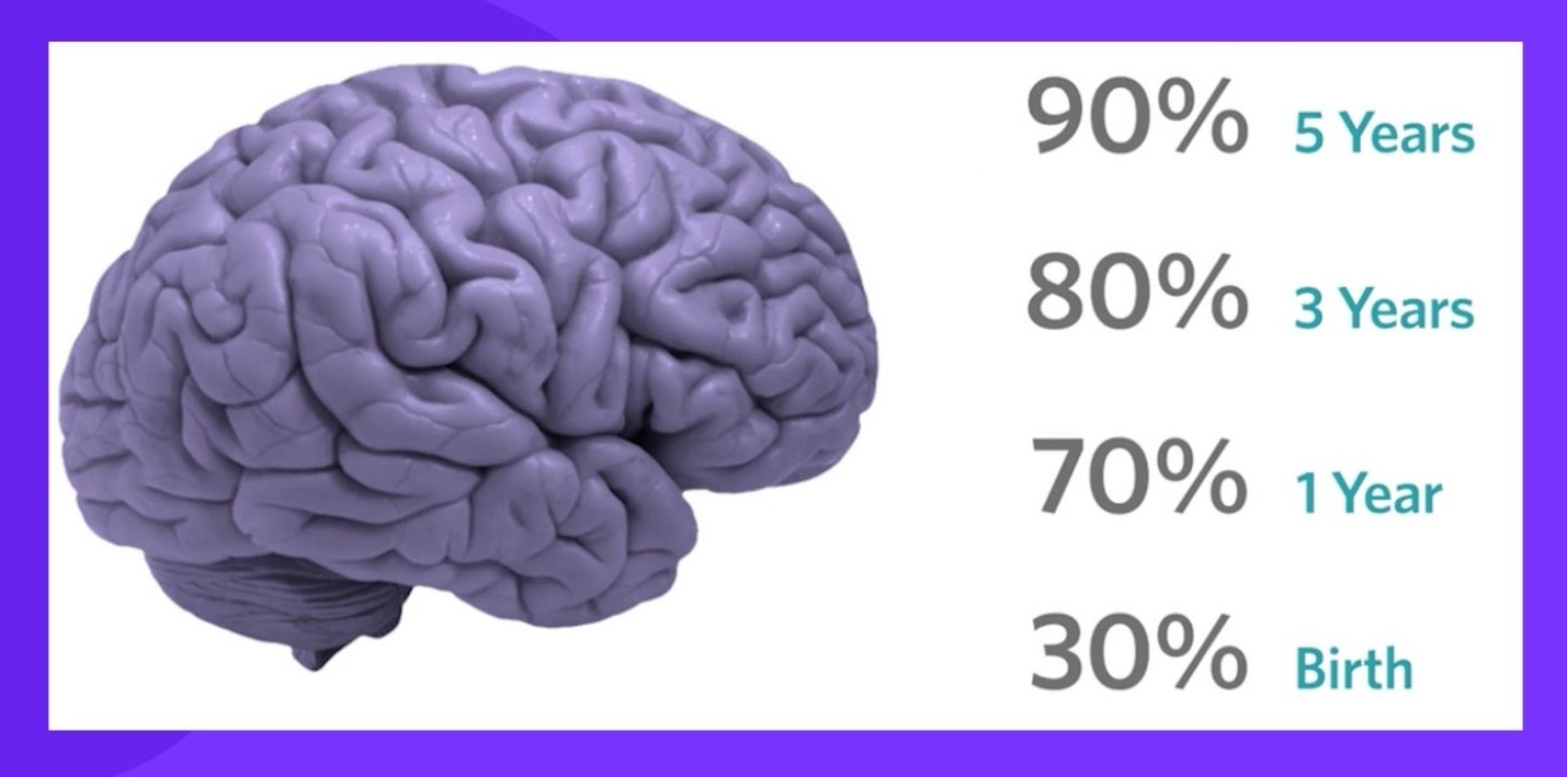 Brain Slide