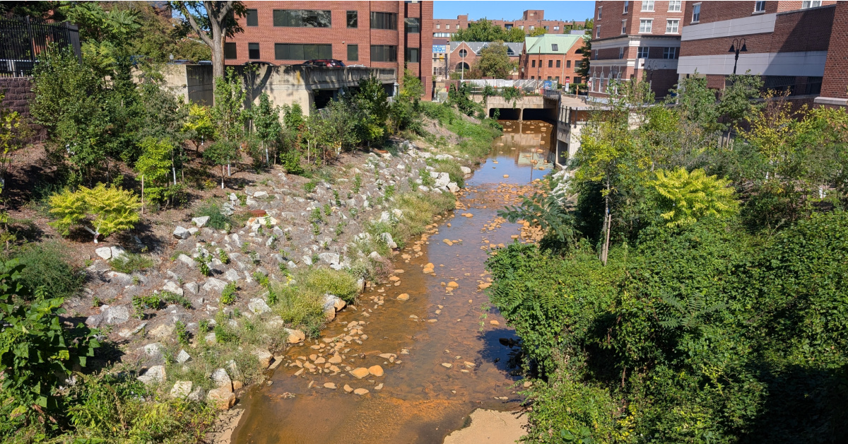 Hoofs Run Interceptor FI