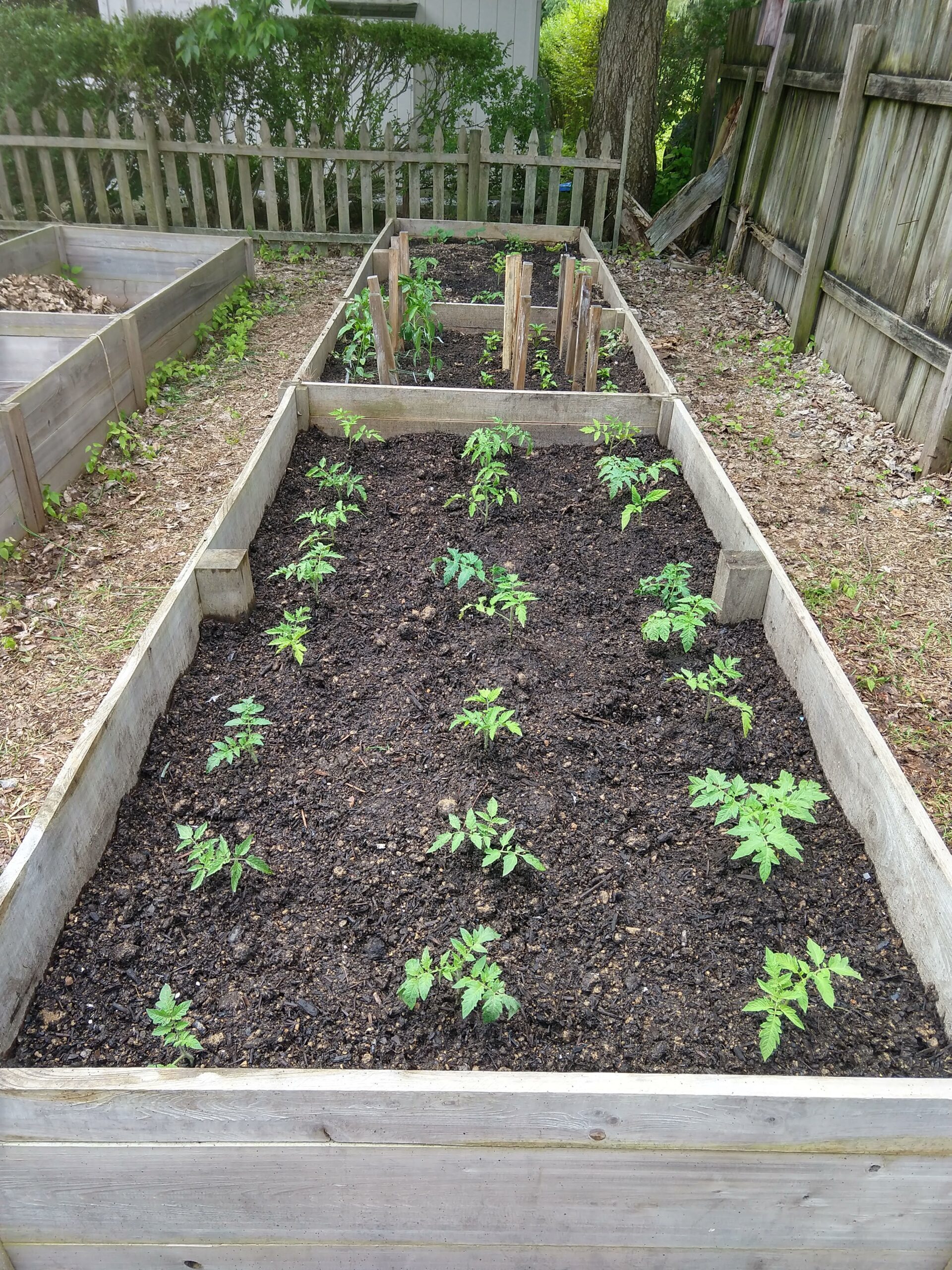 Raised Bed