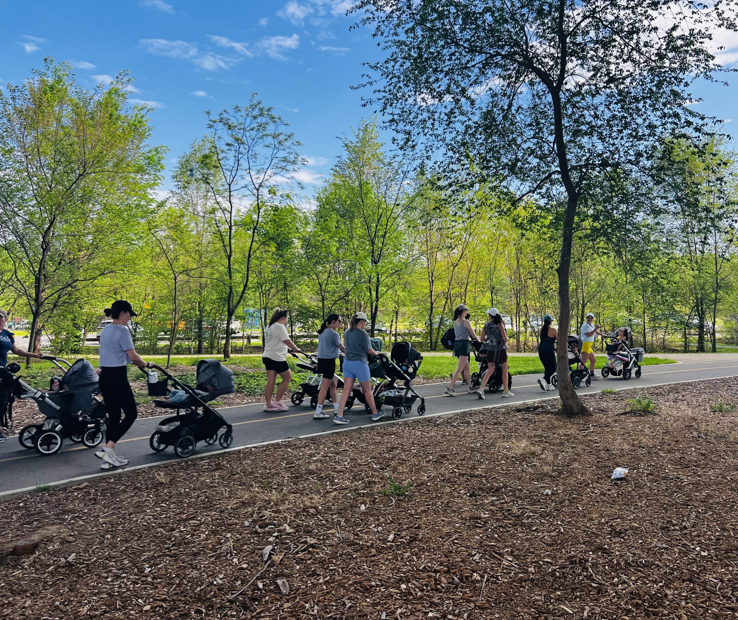 An impressive assembly of mothers and strollers journeys toward camaraderie, fostering a supportive community and wellness practices for their children to emulate.