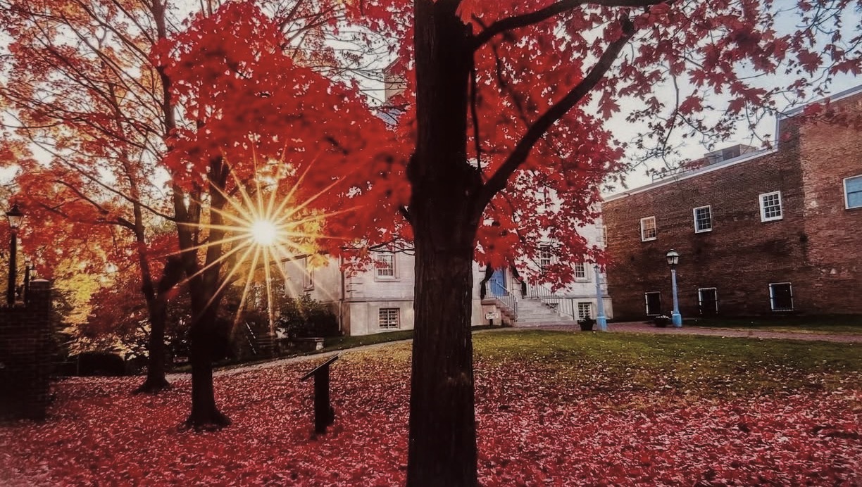 Sunlight shines through bright red autumn leaves in an Old Town Alexandria courtyard, illuminating fallen leaves on the ground beside historic brick buildings. Sunlight shines through bright red autumn leaves in an Old Town Alexandria courtyard, illuminating fallen leaves on the ground beside historic brick buildings.