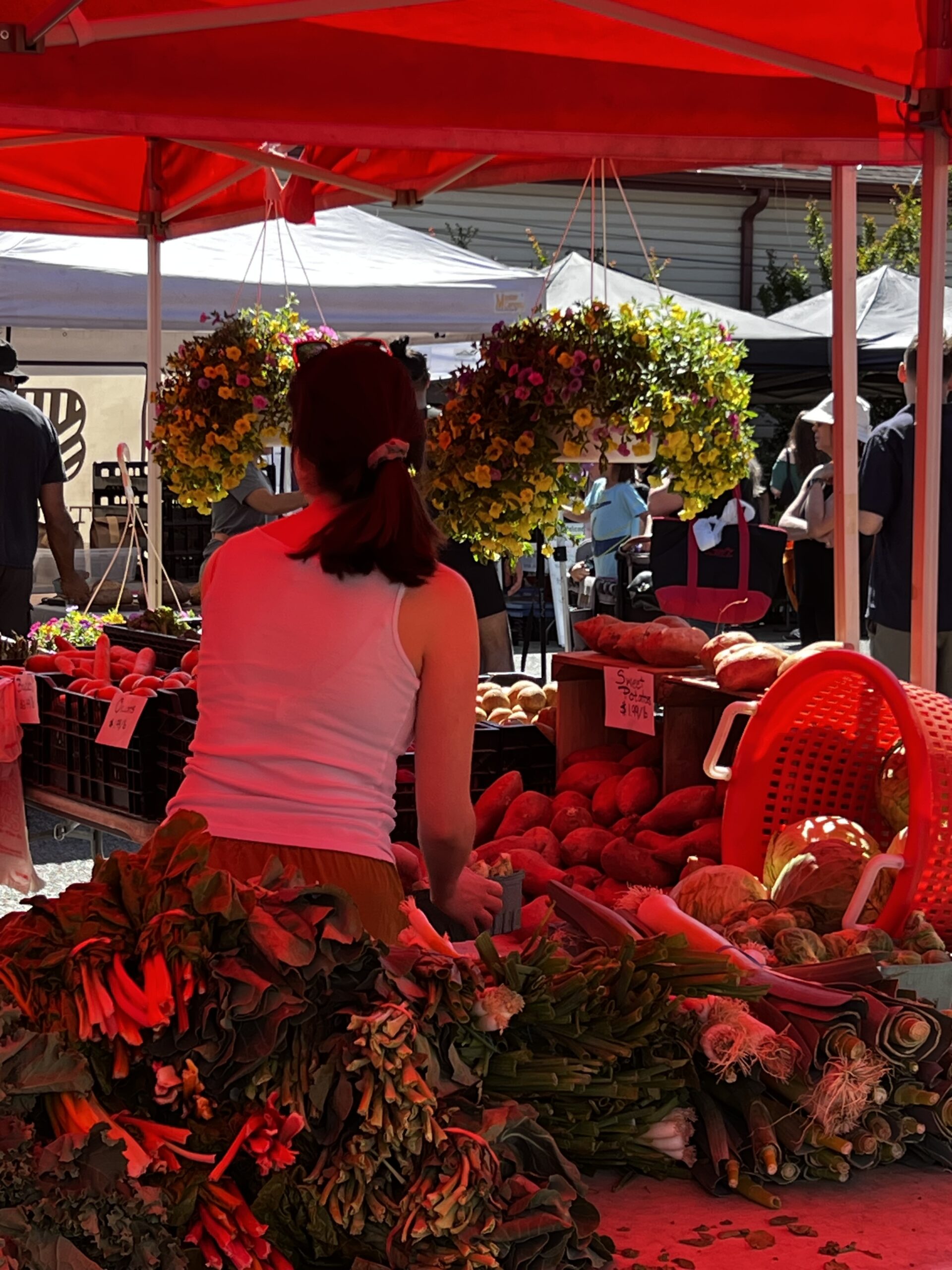 Amidst the fragrant aroma of flowers from dangling baskets, a market shopper takes pleasure in discovering fresh produce.
