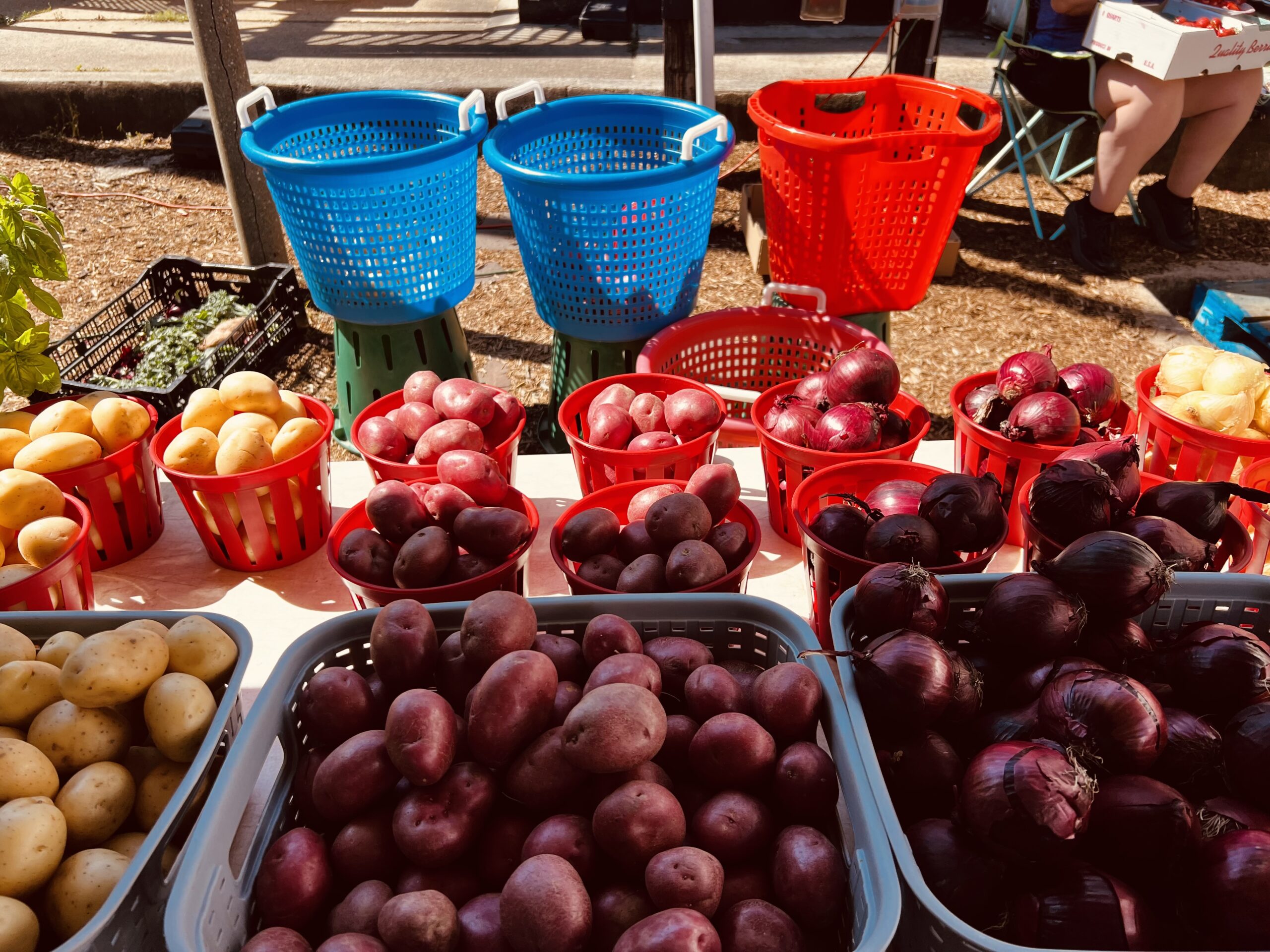 Whether served as hash browns, baked, or French fries, potatoes were a market favorite showcased by various local farmers.