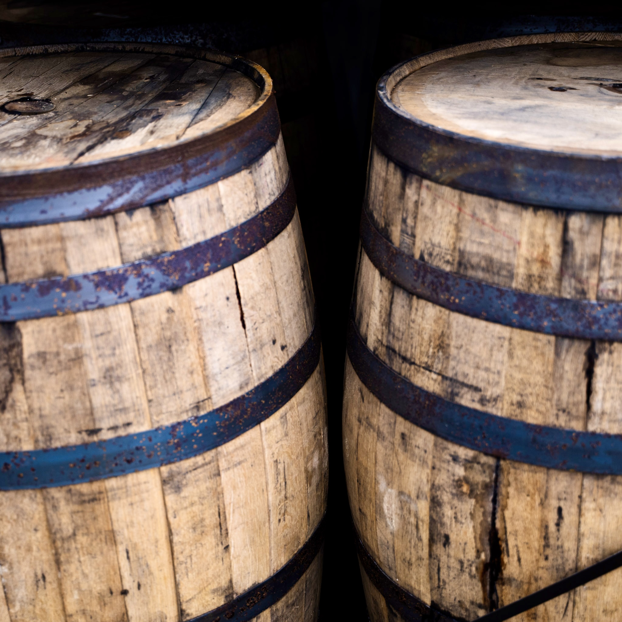 IMG 4053 Barrels of whiskey are what is called “aging gracefully.”