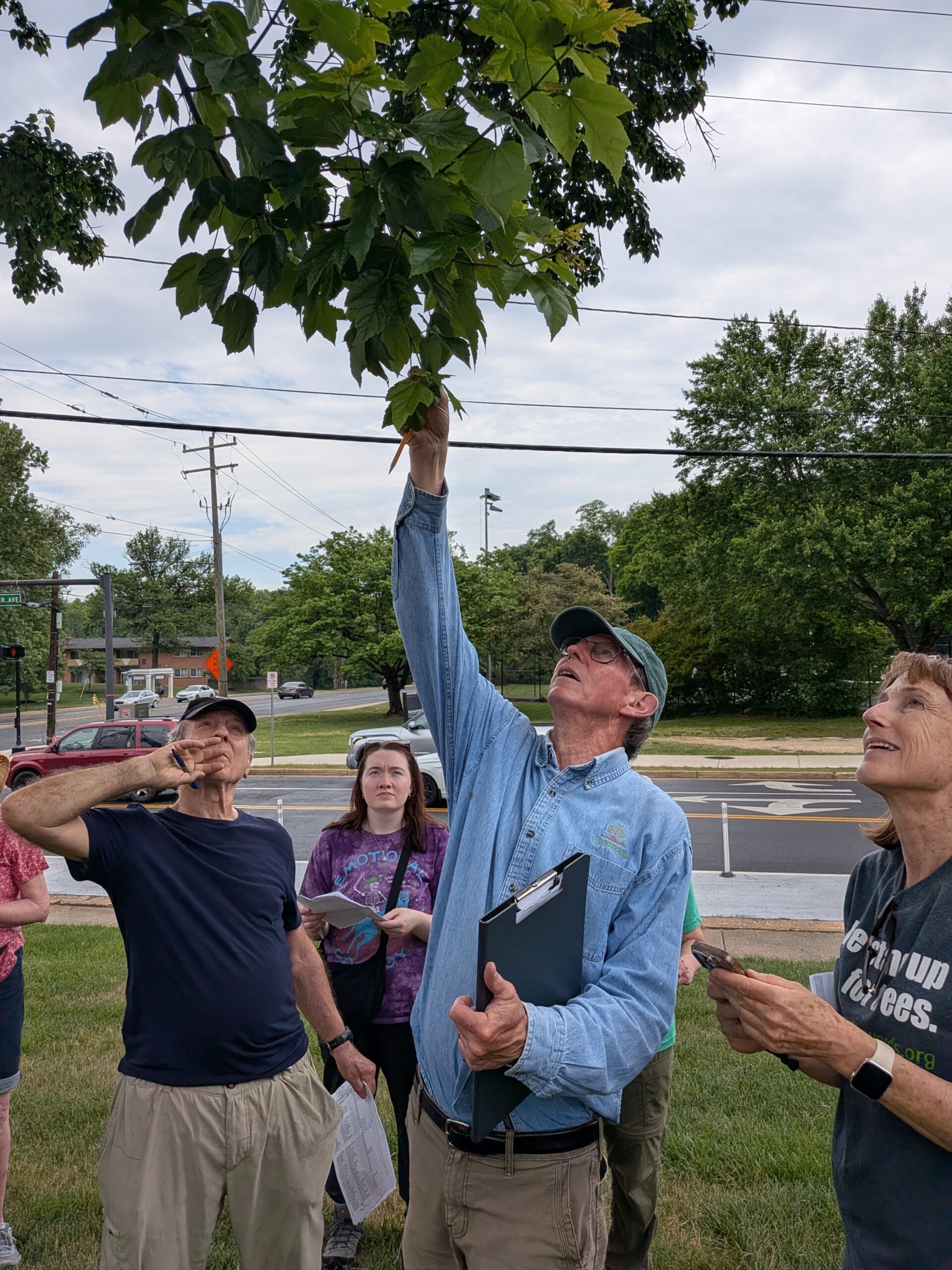 RussBaileyEducation Russ Bailey helping with tree identification. Photo by Mary Gillman
