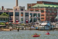 Kayakers paddle on the Potomac River along Alexandria's waterfront, where a new online dashboard helps residents monitor river conditions before boating, fishing or paddling.