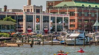 Kayakers paddle on the Potomac River along Alexandria's waterfront, where a new online dashboard helps residents monitor river conditions before boating, fishing or paddling.