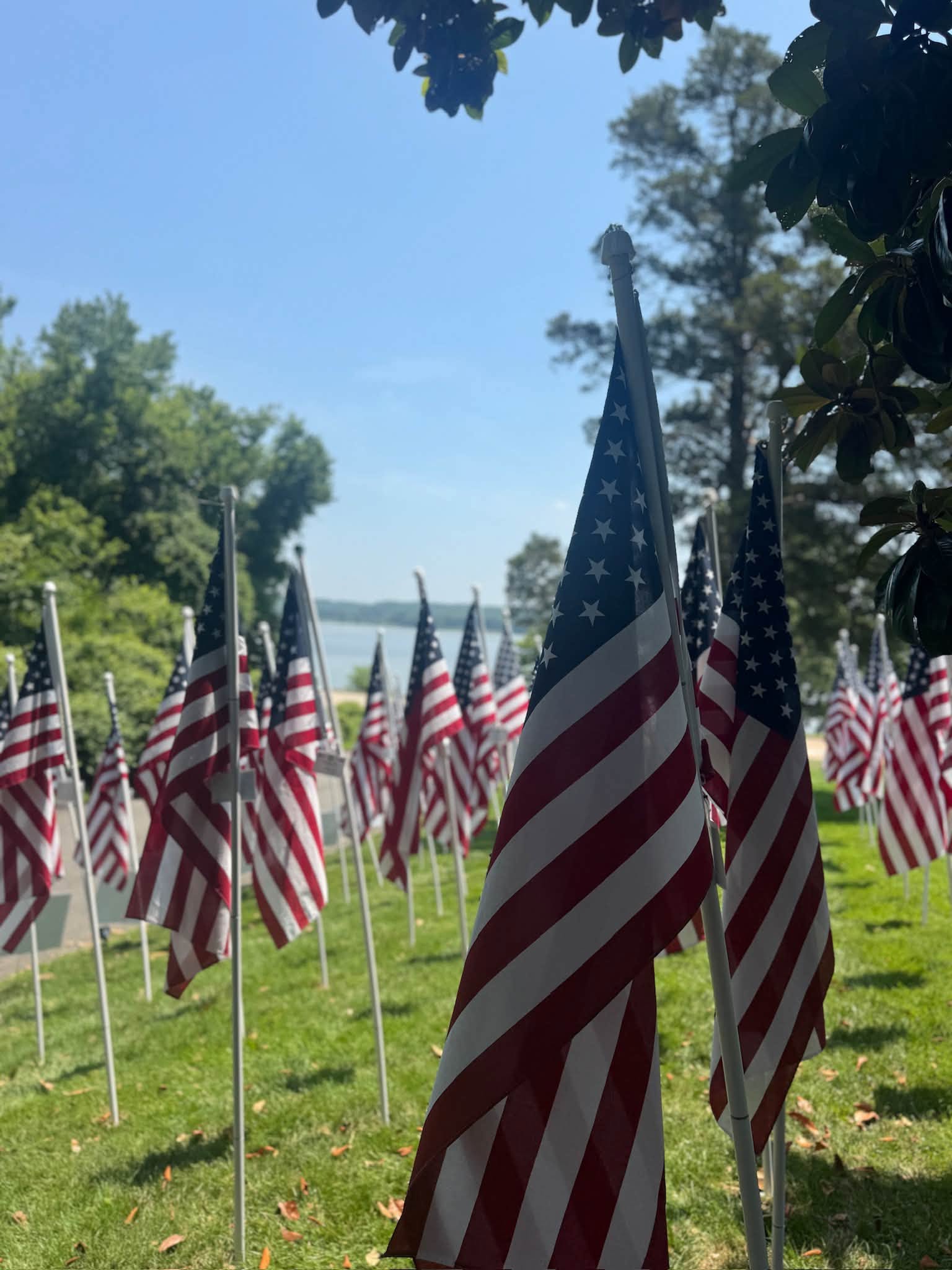 American Flags Overlooking the Potomac at Cedar Knoll American flags overlooking the Potomac River at Cedar Knoll Restaurant in Alexandria for the Flags for Heroes display.