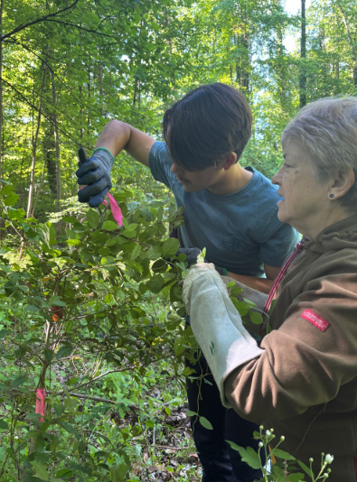 KYLIE HEAD HOST Caleb Morillo, a senior at Immanuel Christian School, assists the park staff at Lake Accotink as a part of the school’s annual Day of Service. Credit Michael Bittenbender via Vidigami