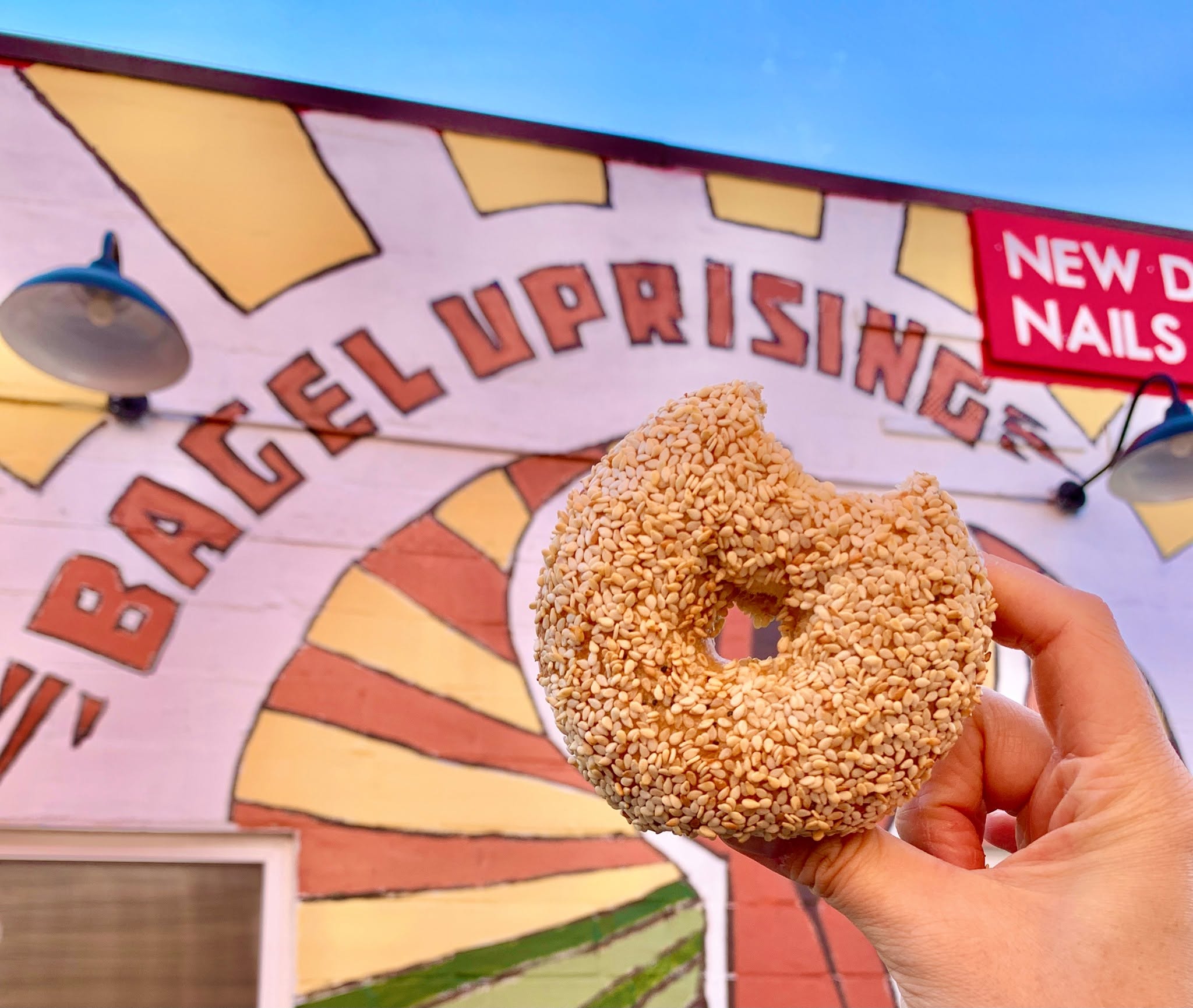 Sesame Bagel Outside Bagel Uprising in Del Ray A hand holds a sesame bagel in front of the colorful Bagel Uprising storefront mural on Mount Vernon Avenue in Del Ray.