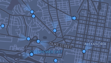 Zoomed in Map of Flock Cameras in Alexandria VA