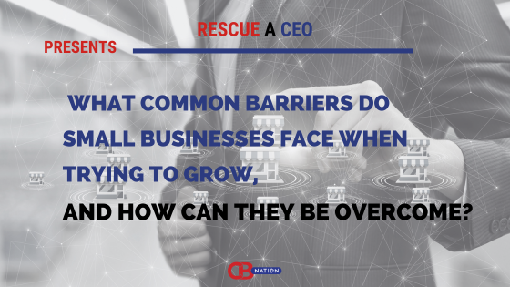 What common barriers do small businesses face when trying to grow, and how can they be overcome?