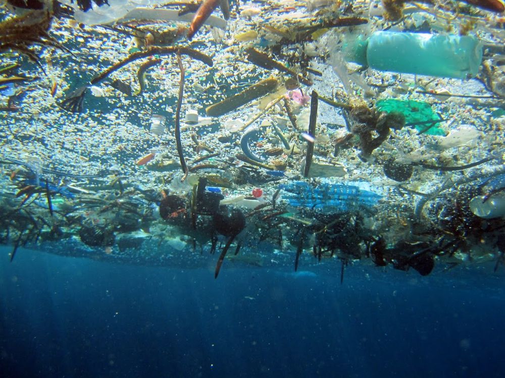 La Gran Mancha de Basura del Pacífico - Chema Tierra