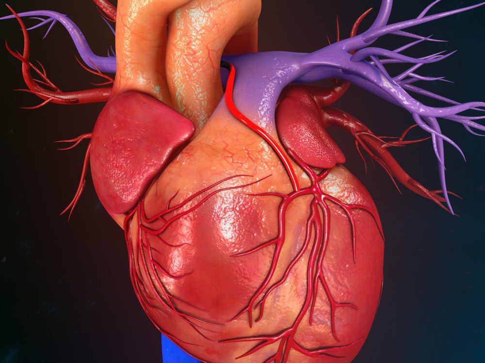 corazon y sangre sergio ramos