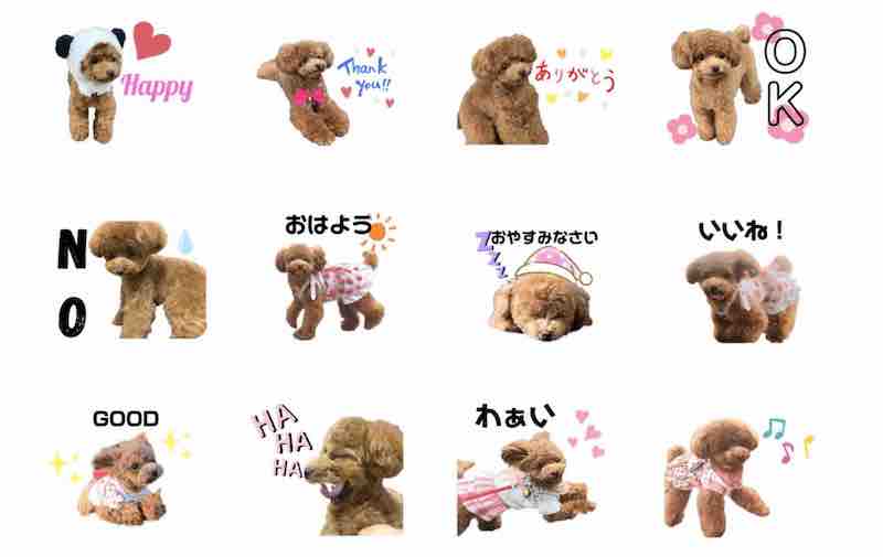 愛犬のLINEスタンプ