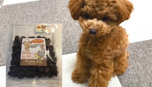 栄養満点！プライムケイズの馬肉が愛犬のおやつにピッタリ！