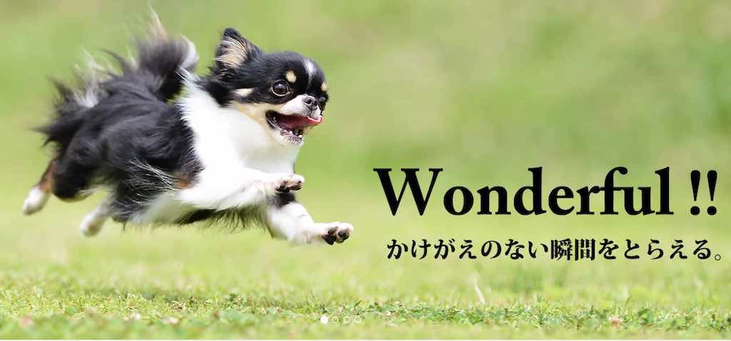 飛行犬撮影所東日本本部