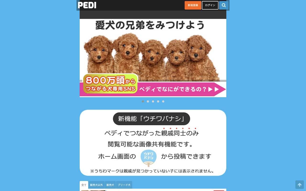 犬の親戚探しができるpediで愛犬の兄弟とつながろう 登録5分で無料