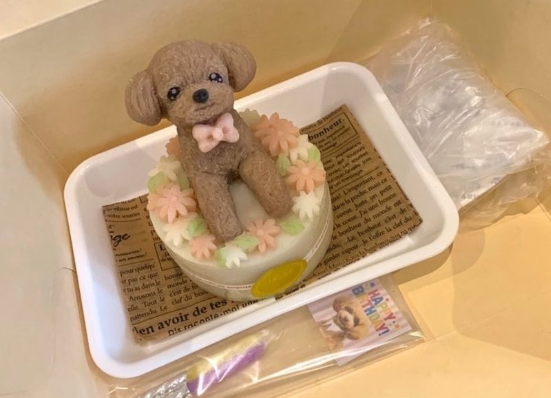 犬の手作り誕生日ケーキ