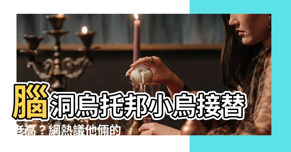 【腦洞烏託邦小烏是誰】腦洞烏託邦小烏接替老高？網熱議他倆的關係